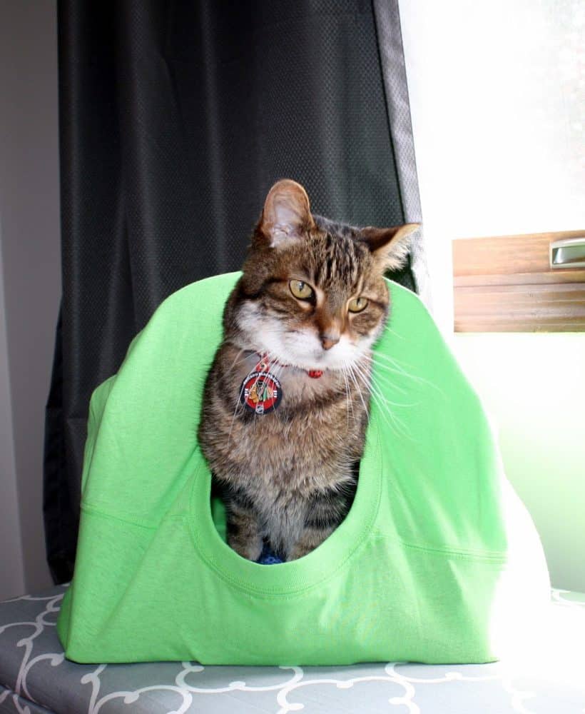 DIY No-Sew Cat Tent #NutrishCatCrafts