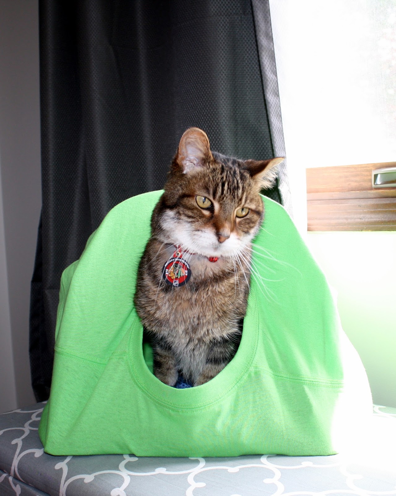 DIY No-Sew Cat Tent #NutrishCatCrafts - Doused in Pink