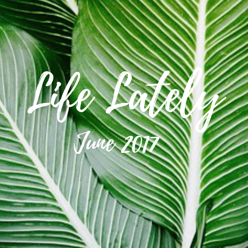 Life Lately {June 2017}